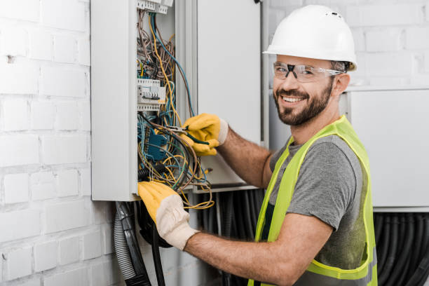 Best Home Electrical Repair  in Eclectic, AL